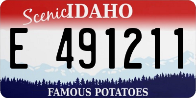 ID license plate E491211