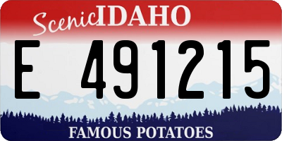 ID license plate E491215