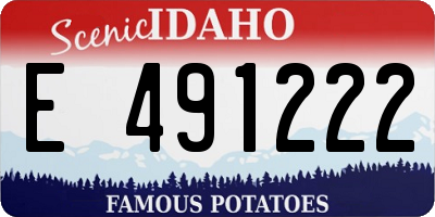 ID license plate E491222
