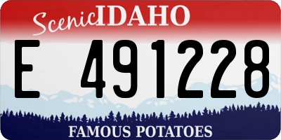 ID license plate E491228