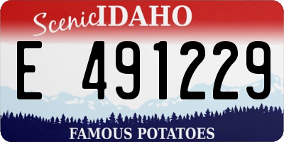 ID license plate E491229
