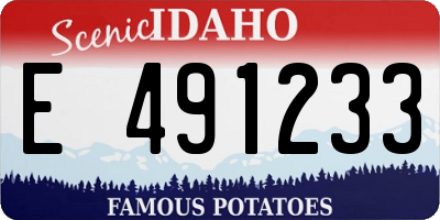 ID license plate E491233