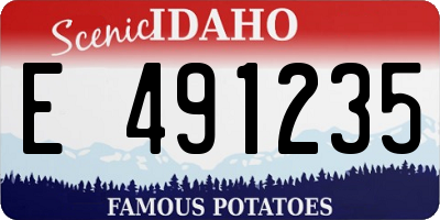 ID license plate E491235