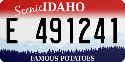 ID license plate E491241