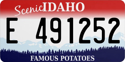 ID license plate E491252