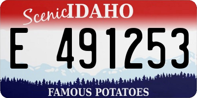 ID license plate E491253