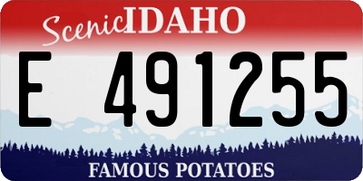ID license plate E491255