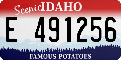ID license plate E491256