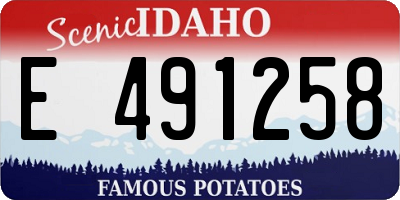 ID license plate E491258