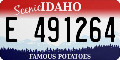 ID license plate E491264