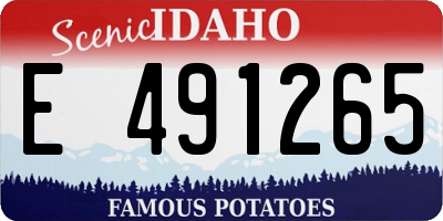 ID license plate E491265