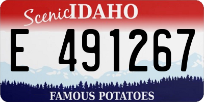ID license plate E491267