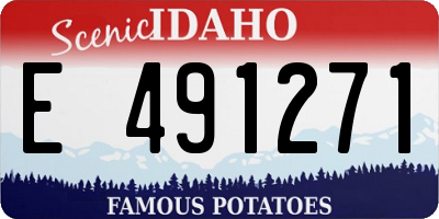 ID license plate E491271