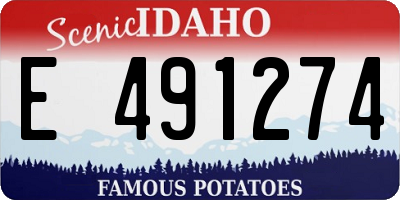 ID license plate E491274