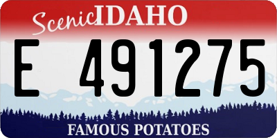 ID license plate E491275