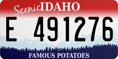 ID license plate E491276