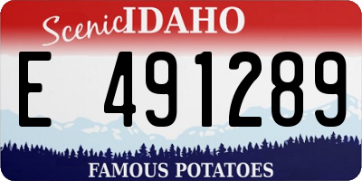 ID license plate E491289
