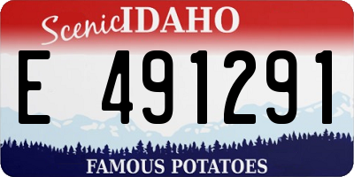 ID license plate E491291