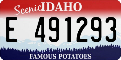 ID license plate E491293