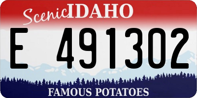 ID license plate E491302