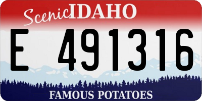 ID license plate E491316