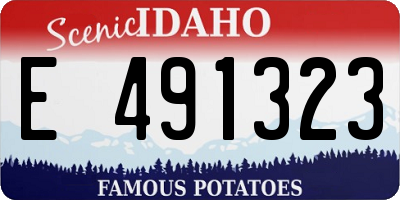 ID license plate E491323
