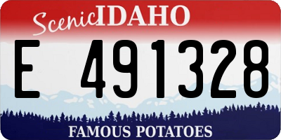 ID license plate E491328