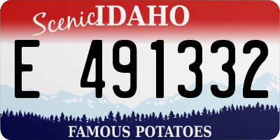 ID license plate E491332