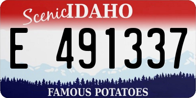 ID license plate E491337