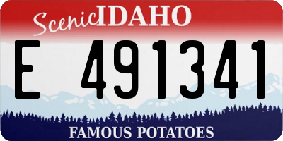 ID license plate E491341