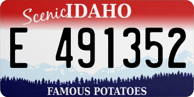 ID license plate E491352