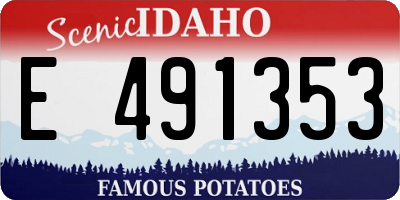 ID license plate E491353