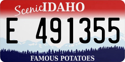 ID license plate E491355
