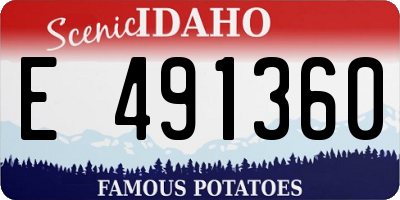 ID license plate E491360