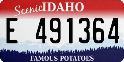 ID license plate E491364
