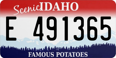 ID license plate E491365
