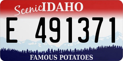 ID license plate E491371