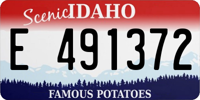 ID license plate E491372