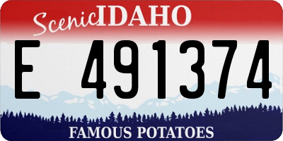 ID license plate E491374