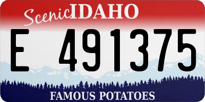 ID license plate E491375