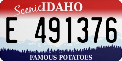 ID license plate E491376