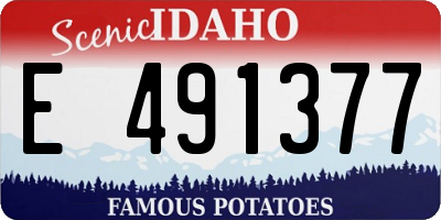 ID license plate E491377