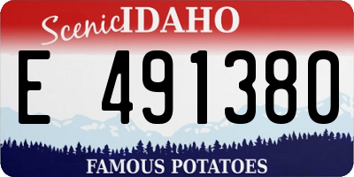 ID license plate E491380
