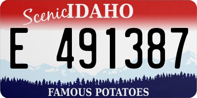 ID license plate E491387
