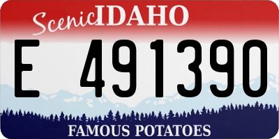 ID license plate E491390