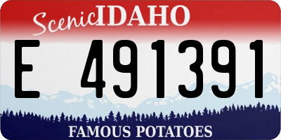 ID license plate E491391