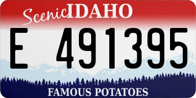 ID license plate E491395