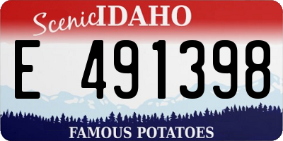 ID license plate E491398