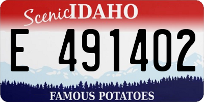 ID license plate E491402