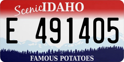 ID license plate E491405